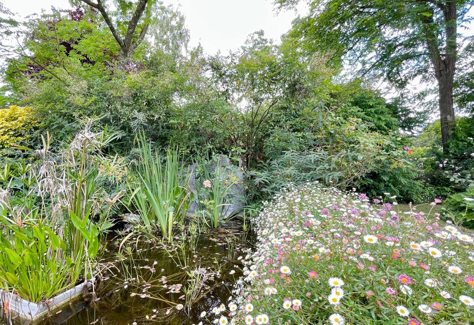 Chambre De Charme Dans Un Jardin De 1500M2 Nueil-sur-Layon Eksteriør billede
